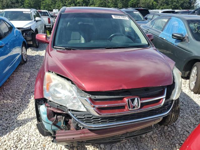 5J6RE4H76BL046851 - 2011 HONDA CR-V EXL RED photo 5