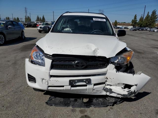 2T3BF4DV0CW195005 - 2012 TOYOTA RAV4 WHITE photo 5