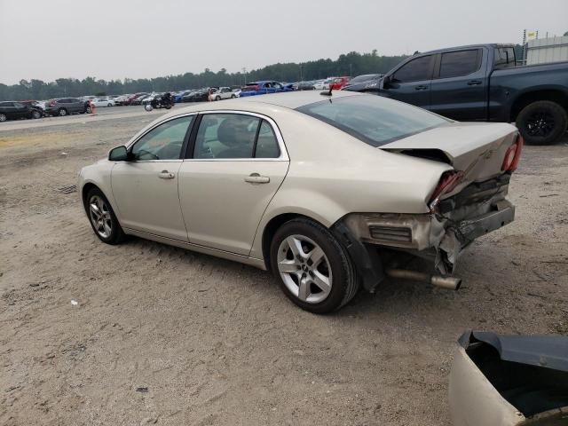 1G1ZC5EB5AF296128 - 2010 CHEVROLET MALIBU 1LT ბეჟი ფოტო 2