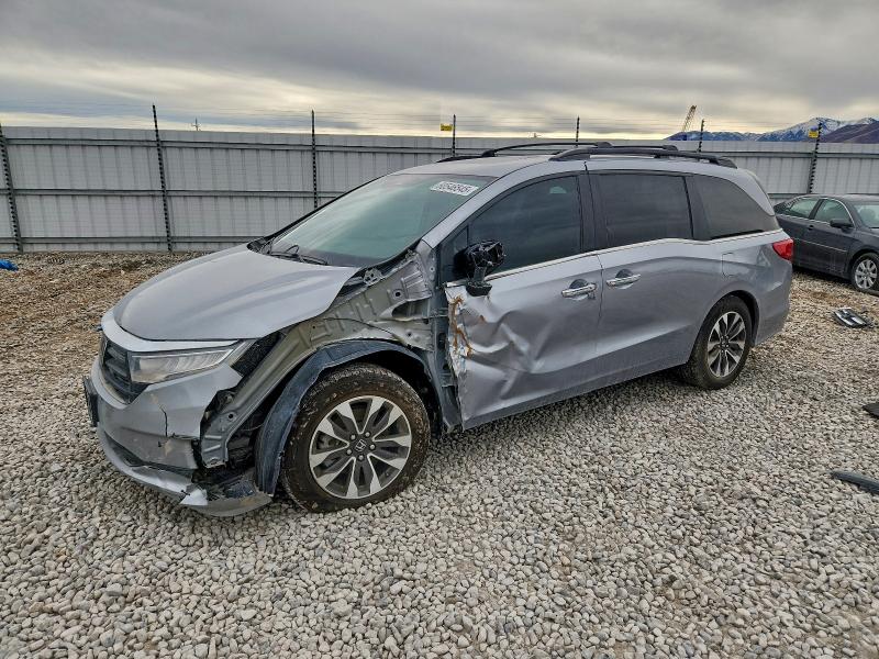 2023 HONDA ODYSSEY EXL, 