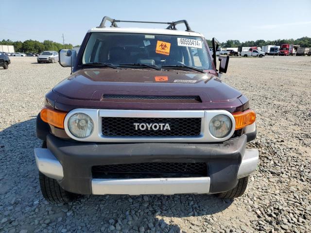 JTEBU11F270005910 - 2007 TOYOTA FJ CRUISER PURPLE photo 5