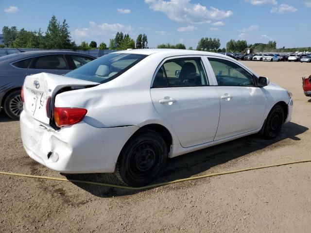 2T1BU4EE3AC234729 - 2010 TOYOTA COROLLA BASE WHITE photo 3