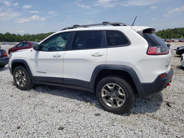 1C4PJMBX9KD345892 - 2019 JEEP CHEROKEE TRAILHAWK WHITE photo 2