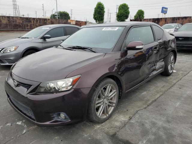 JTKJF5C75B3019369 - 2011 TOYOTA SCION TC 勃艮第红 照片 1