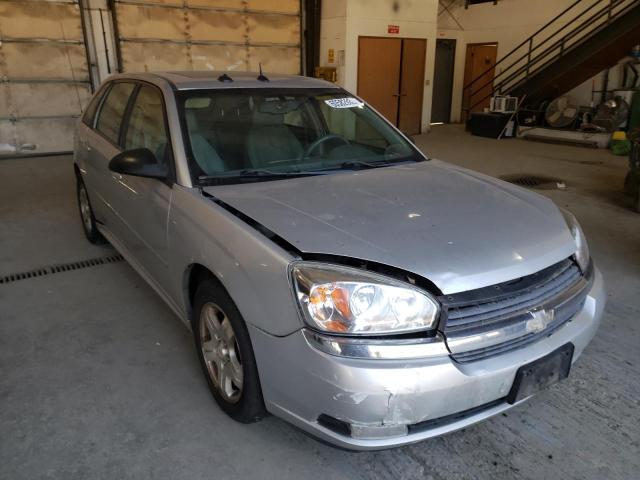 1G1ZU64824F161623 - 2004 CHEVROLET MALIBU MAXX LT SILVER photo 1