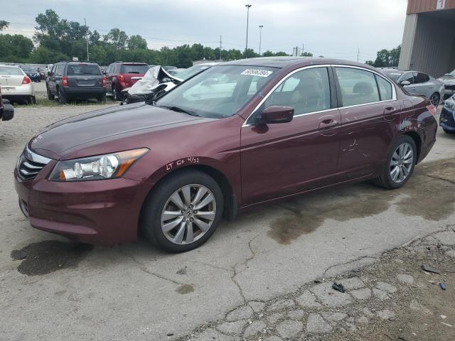 2011 HONDA ACCORD EXL, 