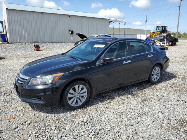 2011 HONDA ACCORD EXL, null