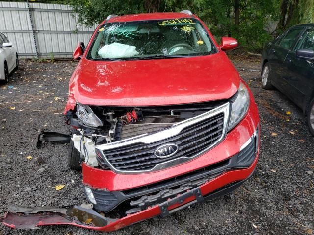 KNDPC3A29C7332196 - 2012 KIA SPORTAGE EX RED photo 5