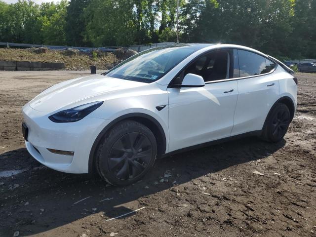 2024 TESLA MODEL Y, null
