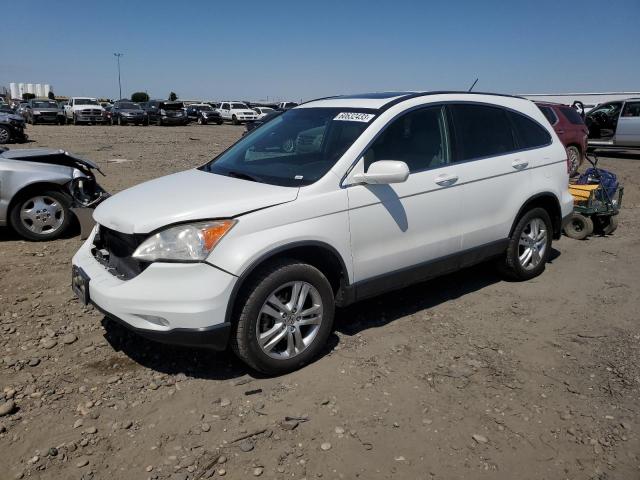 JHLRE4H75AC000032 - 2010 HONDA CR-V EXL WHITE photo 1