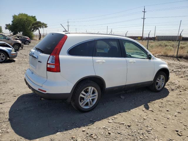 JHLRE4H75AC000032 - 2010 HONDA CR-V EXL WHITE photo 3