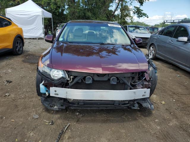 JH4CU26609C034913 - 2009 ACURA TSX BURGUNDY photo 5