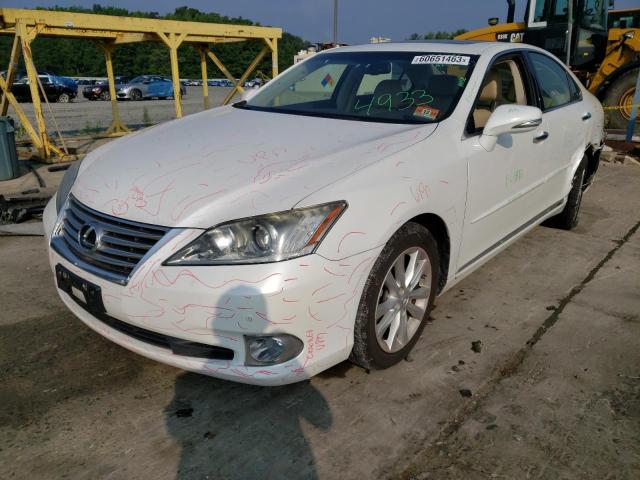 JTHBK1EG4B2444793 - 2011 LEXUS ES 350 WHITE photo 1