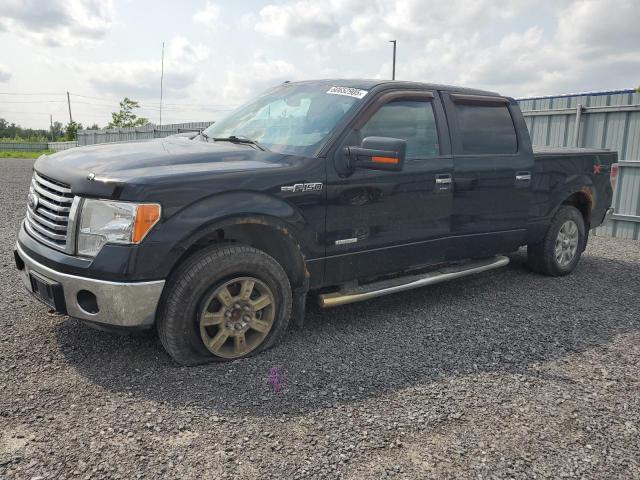 2012 FORD F150 SUPERCREW, null