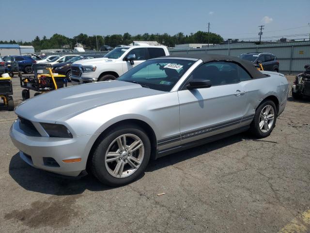 2010 FORD MUSTANG, null