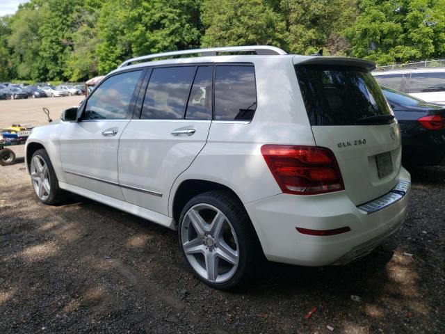 WDCGG0EB6DG118128 - 2013 MERCEDES-BENZ GLK 250 BLUETEC WHITE photo 2