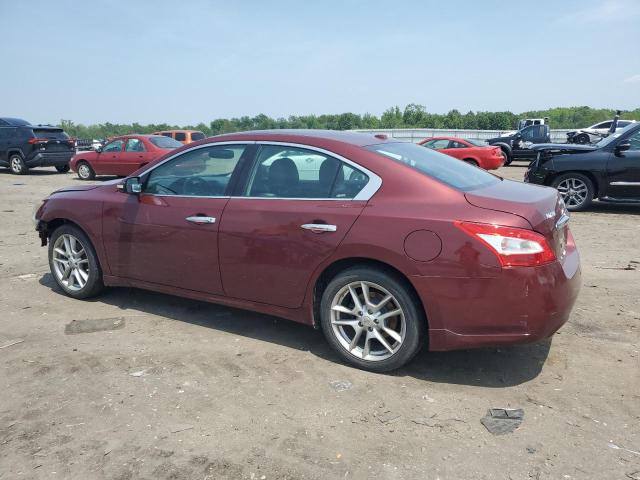 1N4AA5AP9AC851942 - 2010 NISSAN MAXIMA S ბურგუნდია ფოტო 2