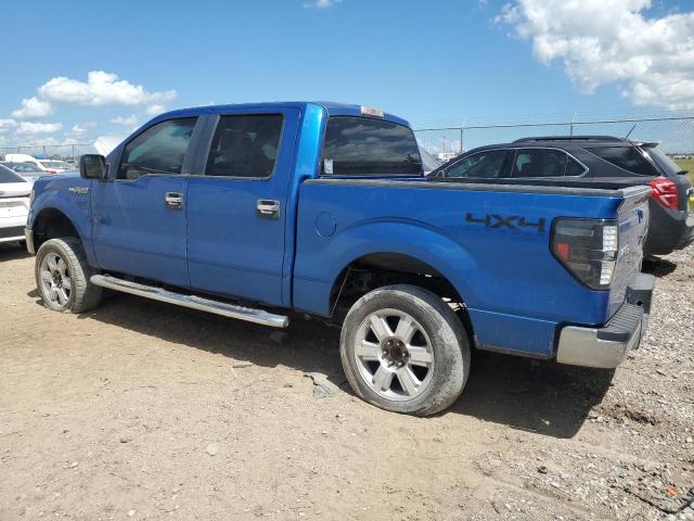 1FTFW1EF4DKD24106 - 2013 FORD F150 SUPERCREW BLUE photo 2