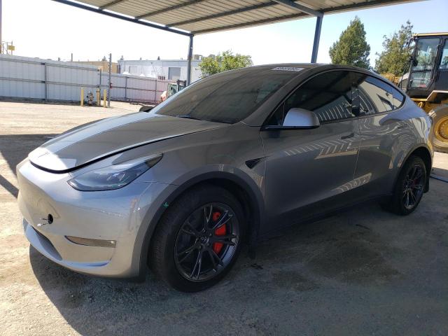 2025 TESLA MODEL Y, null