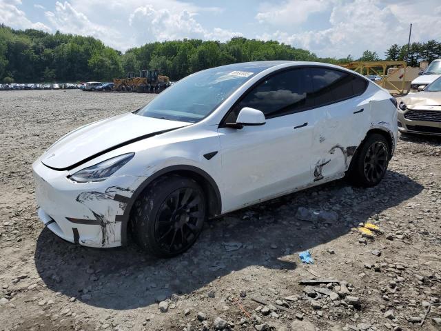 2022 TESLA MODEL Y, null