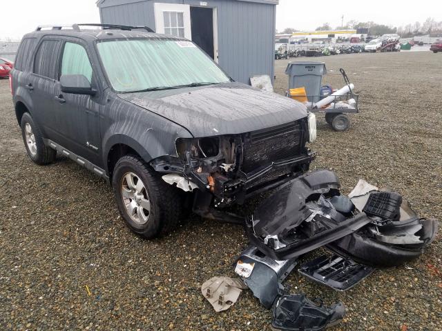 1FMCU49349KC35276 - 2009 FORD ESCAPE HYBRID  photo 1