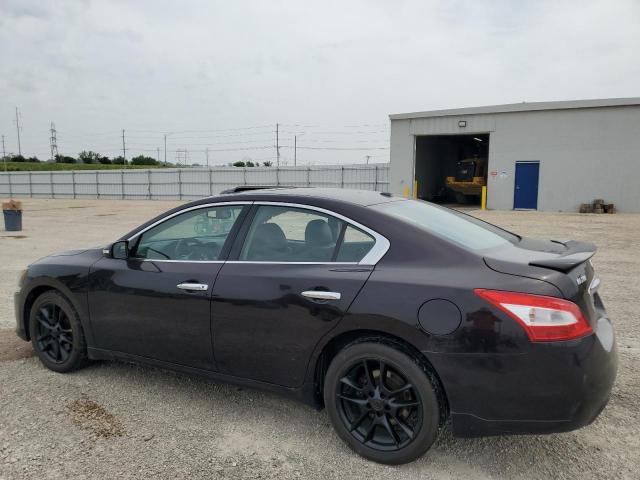 1N4AA5AP3AC845795 - 2010 NISSAN MAXIMA S PURPLE photo 2