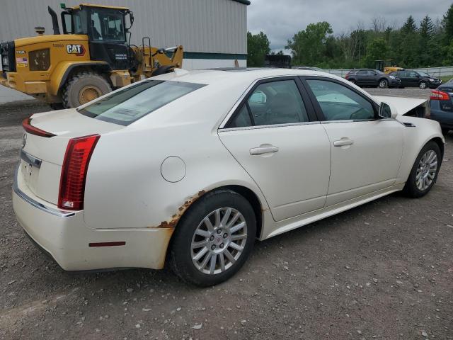 1G6DG5EY9B0126498 - 2011 CADILLAC CTS LUXURY COLLECTION CREAM photo 3