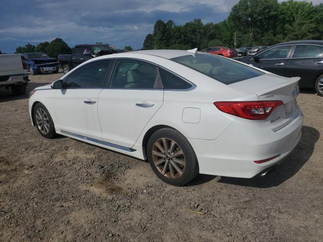 5NPE34AF6HH547831 - 2017 HYUNDAI SONATA SPORT WHITE photo 2
