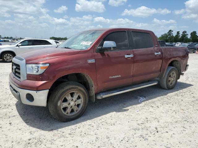 5TFEV54119X073521 - 2009 TOYOTA TUNDRA CREWMAX BURGUNDY photo 1