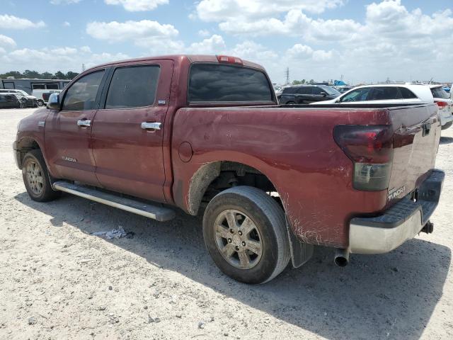 5TFEV54119X073521 - 2009 TOYOTA TUNDRA CREWMAX BURGUNDY photo 2