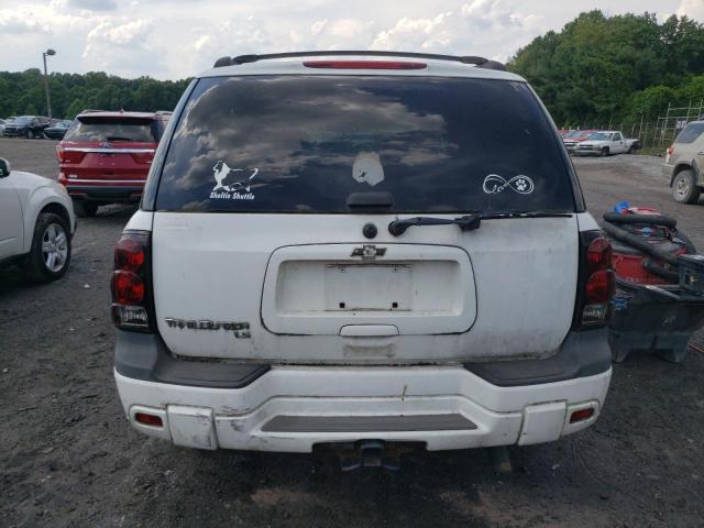 1GNDT13S252202059 - 2005 CHEVROLET TRAILBLAZE LS WHITE photo 6