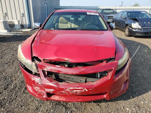 1HGCS11868A011089 - 2008 HONDA ACCORD EXL RED photo 5