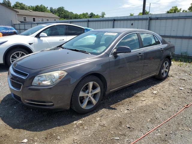 1G1ZC5E11BF271817 - 2011 CHEVROLET MALIBU 1LT 石墨色 照片 1