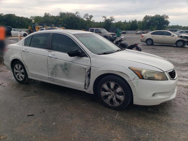 5KBCP3F85AB018506 - 2010 HONDA ACCORD EXL WHITE photo 4