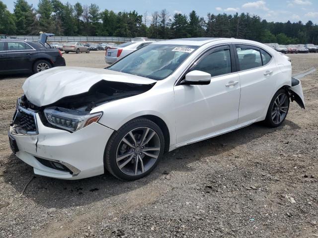 19UUB3F80KA006406 - 2019 ACURA TLX ADVANCE WHITE photo 1