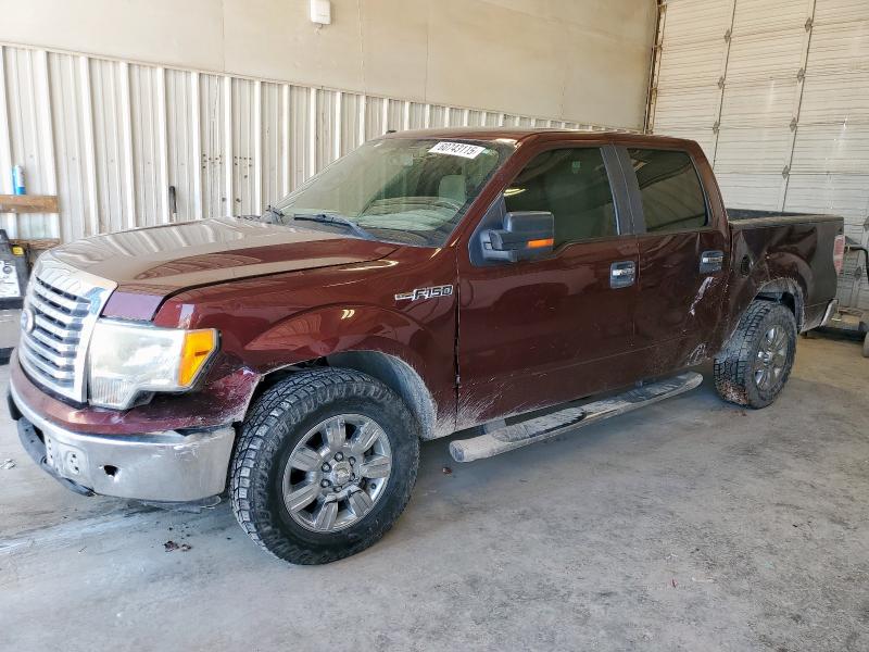 2010 FORD F150 SUPERCREW, null