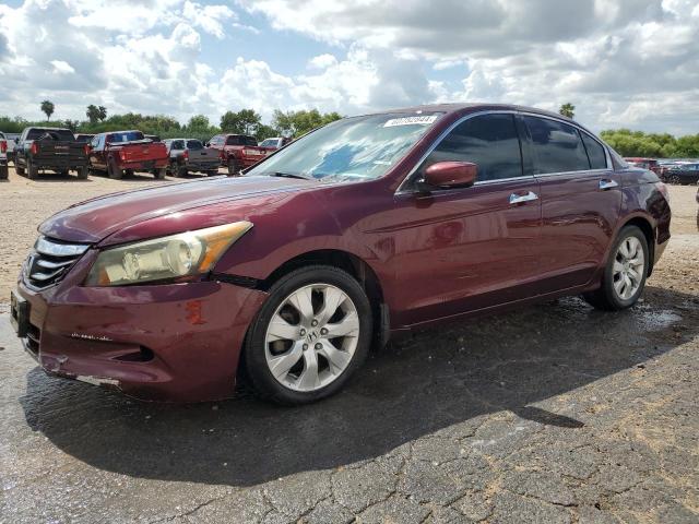 2009 HONDA ACCORD EXL, 