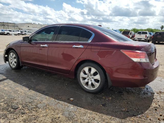 1HGCP36899A012647 - 2009 HONDA ACCORD EXL PURPLE photo 2