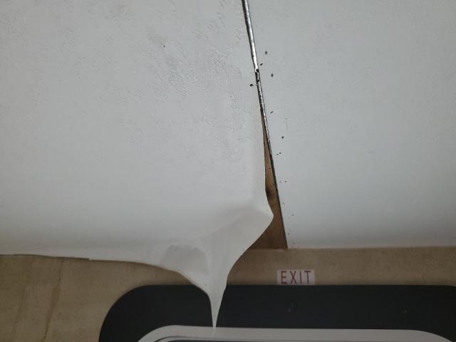 4YDT23821DT413626 - 2013 PASSPORT TRAVELTRLR BEIGE photo 9