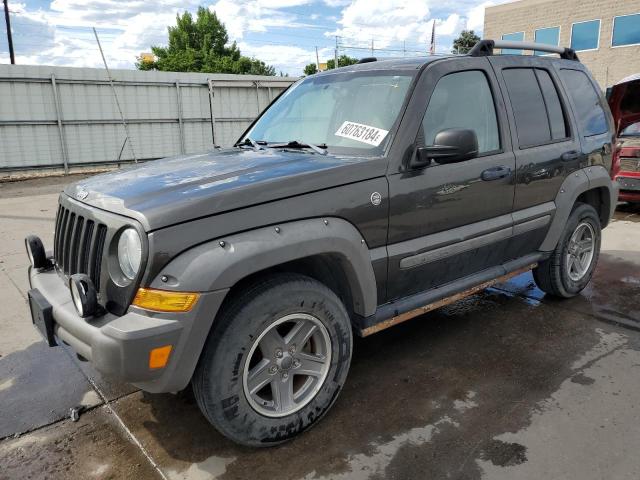 1J4GL38K96W191446 - 2006 JEEP LIBERTY RENEGADE 棕色 照片 1