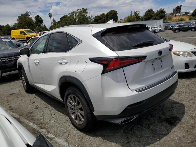 JTJDARDZ2M5025290 - 2021 LEXUS NX 300 BASE 白色 照片 2