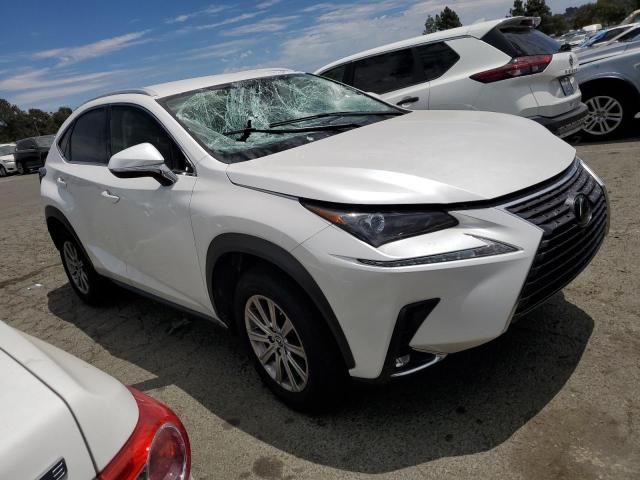 JTJDARDZ2M5025290 - 2021 LEXUS NX 300 BASE 白色 照片 4