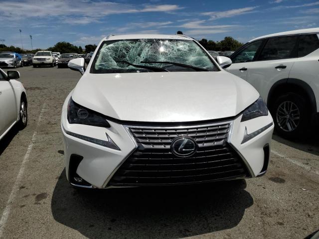JTJDARDZ2M5025290 - 2021 LEXUS NX 300 BASE 白色 照片 5