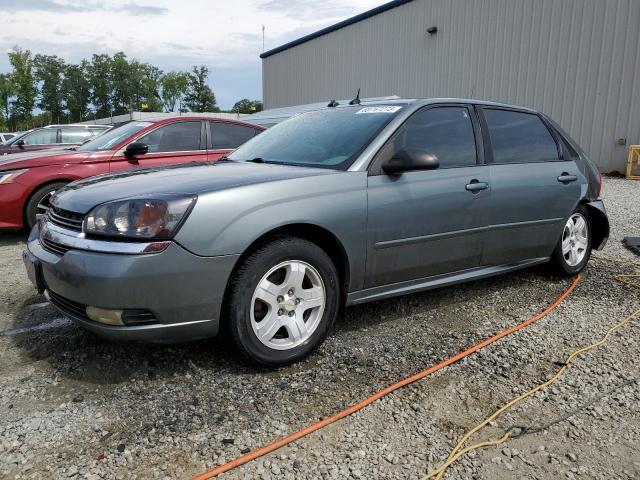 1G1ZU648X4F221874 - 2004 CHEVROLET MALIBU MAXX LT GRAY photo 1