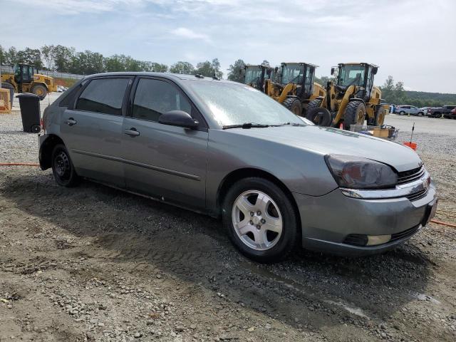 1G1ZU648X4F221874 - 2004 CHEVROLET MALIBU MAXX LT GRAY photo 4