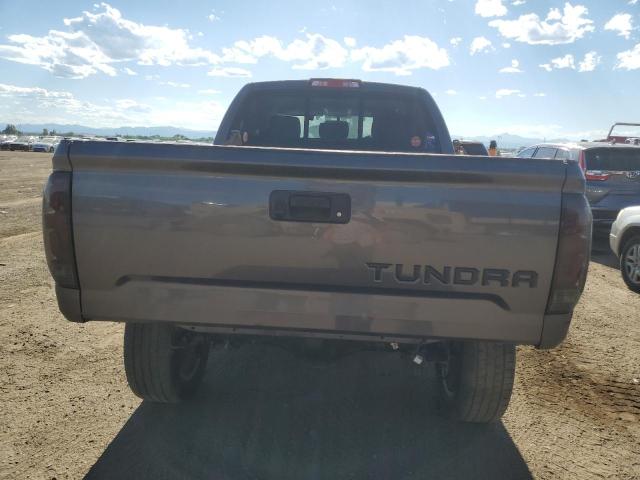 5TFUW5F15HX619001 - 2017 TOYOTA TUNDRA DOUBLE CAB SR/SR5 GRAY photo 6