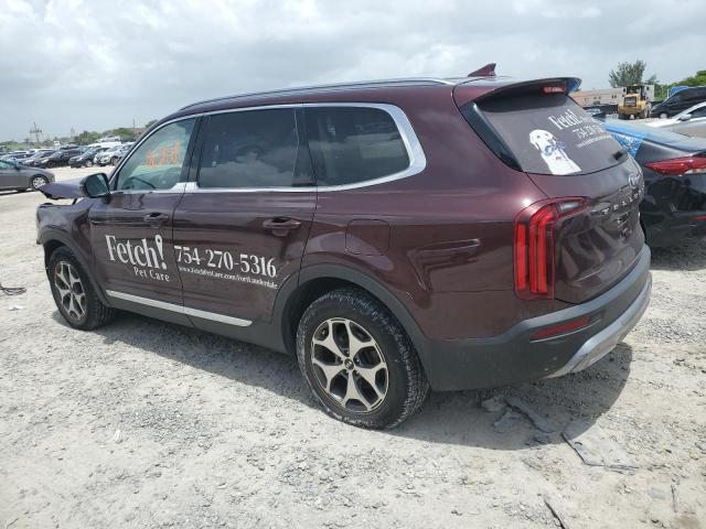 5XYP34HC0MG131862 - 2021 KIA TELLURIDE EX MAROON photo 2