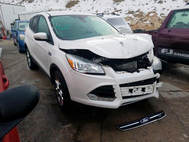 1FMCU9HX2DUB24658 - 2013 FORD ESCAPE SEL  photo 1