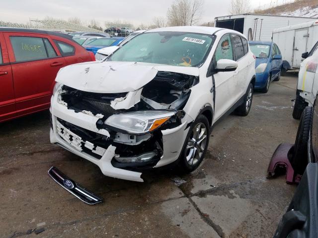 1FMCU9HX2DUB24658 - 2013 FORD ESCAPE SEL  photo 2