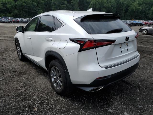 JTJDARDZ0M5026731 - 2021 LEXUS NX 300 BASE Beyaz fotoğraf 2